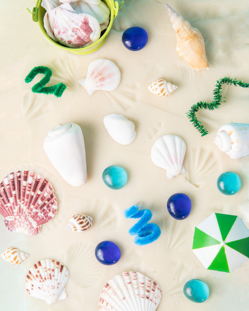 Sea Shell Print Making With Dough