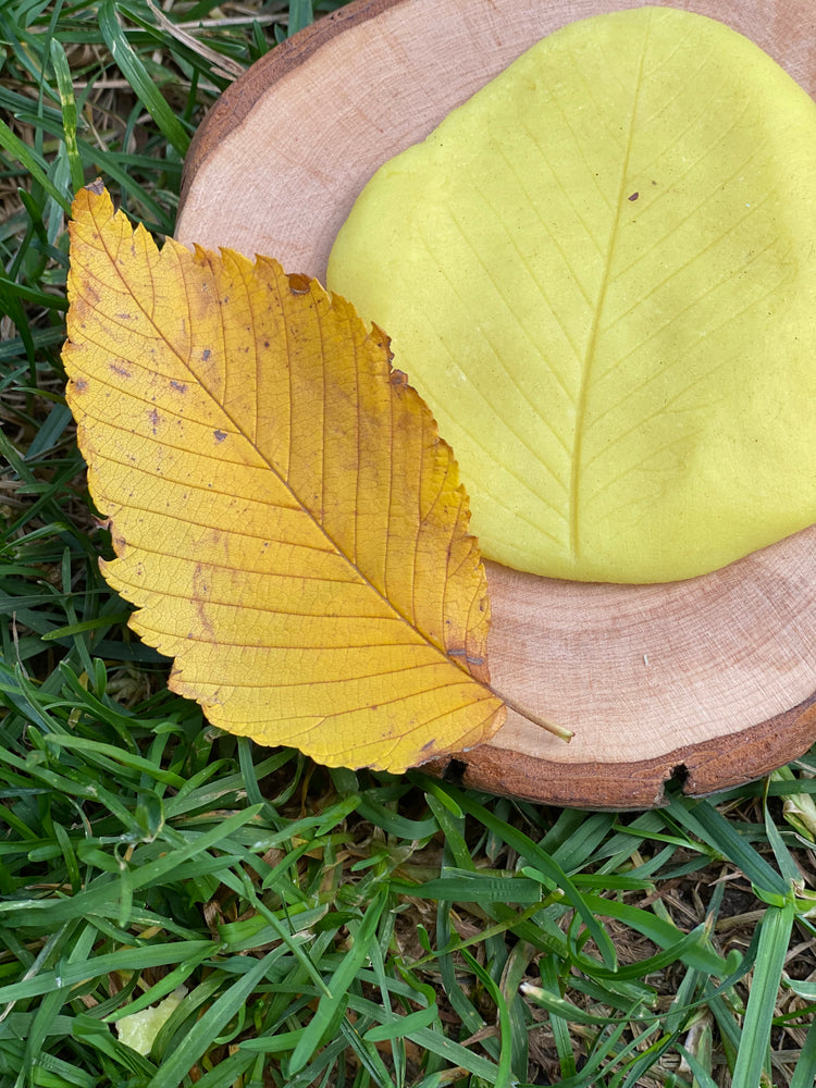 Fall Into Play: Leaf Prints With Play Dough